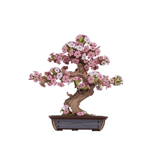 Robotime - Sakura Bonsai